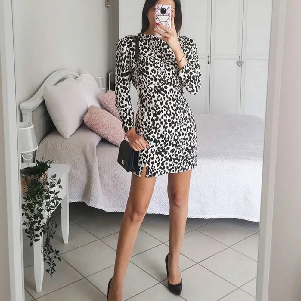 Zara Animal Print Mini Dress